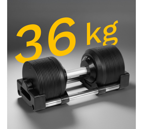 Гантель розбірна Rebel Active RBA-2331-36 36 кг