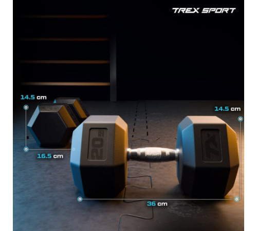 Гантель шестигранна Trex Sport TX-200RD 20 кг