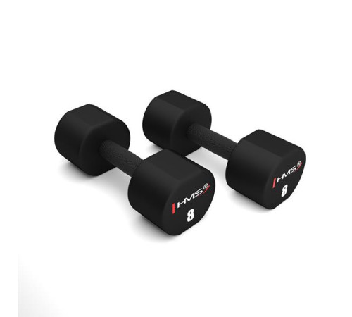 Гантелі HMS HPT08 2 х 8 кг