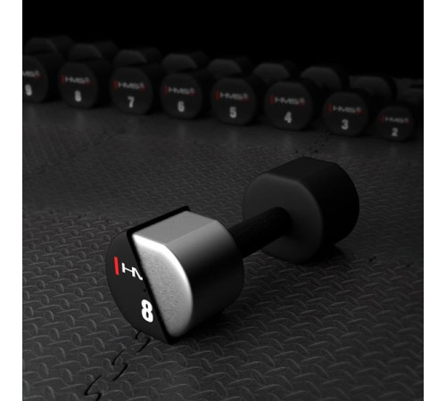 Гантелі HMS HPT08 2 х 8 кг