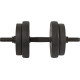 Гантелі розбірні бітумні Eb Fit B/Box 2 х 8 кг