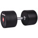 Гантель сталева inSPORTline Profi, 55 кг
