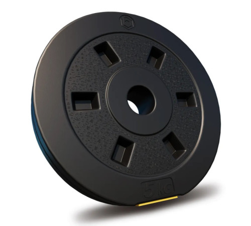 Гантелі розбірні Besport PowerPro 2 х 31 кг