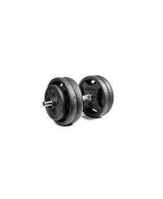 Гантель розбірна RN-Sport 26 кг