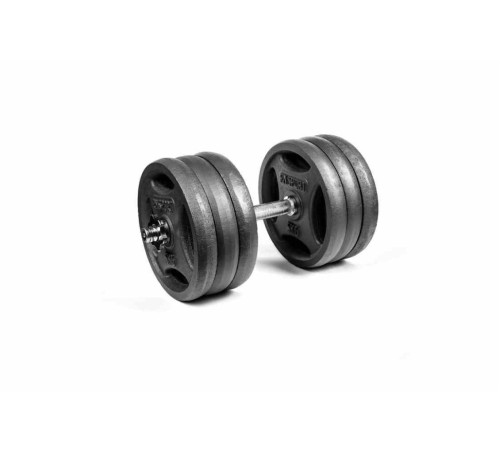 Гантель розбірна металева RN-Sport RN_QTR31, 31 кг