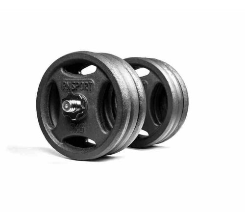 Гантель розбірна металева RN-Sport RN_QTR31, 31 кг