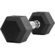 Гантелі прогумовані Thorn+Fit Hex, 2 х 2,5 кг