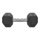 Гантель шестигранна Eleiko XF 10 кг