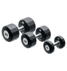 Гантель Eleiko Evo з обертовою ручкою, 38 кг