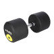 Гантель прогумована HMS HG PRO, 60 кг
