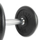 Гантель розбірна чавунна VIRTUFIT PRO 15 кг