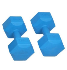 Гантелі шестигранні Spartan 2 х 1 кг