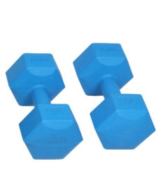 Гантелі шестигранні Spartan 2 х 1 кг