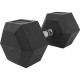 Гантель шестигранна Gorilla Sports Hex 42,5 кг