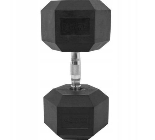 Гантель шестигранна Gorilla Sports Hex 42,5 кг