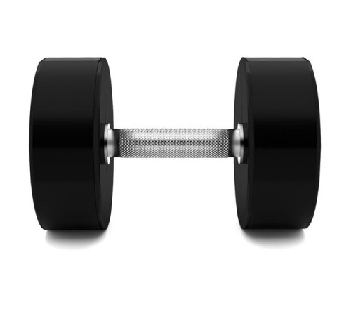 Гантель сталева HMS HPC, 25 кг