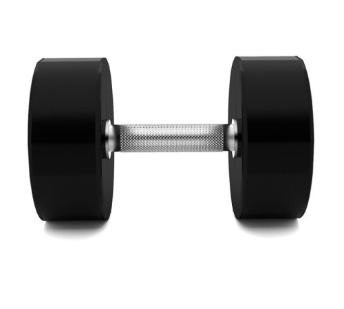 Гантель сталева HMS HPC, 27.5 кг