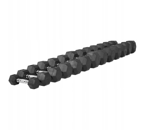 Гантелі шестигранні Gorilla Sports Hex 4-25 кг