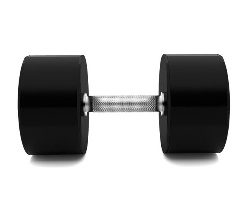 Гантель сталева HMS HPC, 40 кг