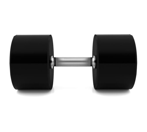 Гантель сталева HMS HPC, 47.5 кг