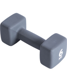 Гантель P2I Dumbell 6 кг