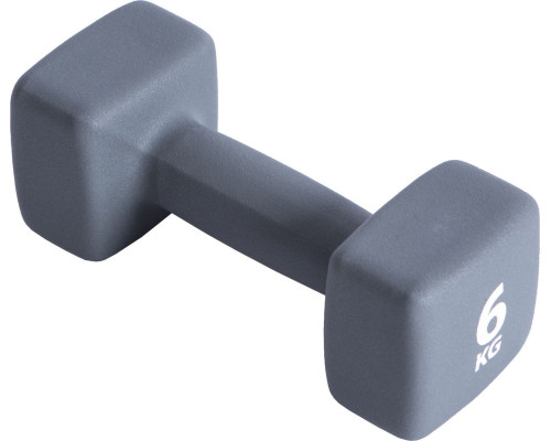 Гантель P2I Dumbell 6 кг