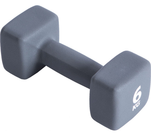 Гантель P2I Dumbell 6 кг Гантель P2I Dumbell 6 кг