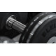 Гантель Eleiko Plate з обертовою ручкою, 90 кг