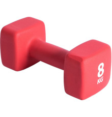 Гантель P2I Dumbell 8 кг