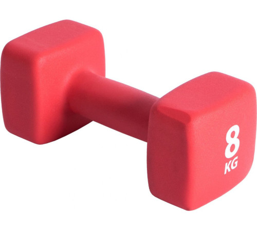 Гантель P2I Dumbell 8 кг