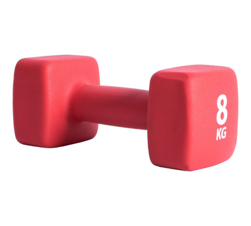 Гантель P2I Dumbell 8 кг