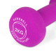 Гантель BODY SCULPTURE Z PVC BW 513 2 кг