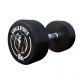 Гантелі прогумовані Gorilla Sports 100278-00008-0109 2 x 10 кг