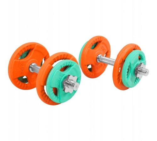 Гантелі розбірні Gorilla Sports 2 х 10 кг, різнокольорові