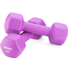 Гантелі неопренові Gymtek Hex 2 х 3 кг, фіолетовий