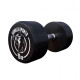 Гантелі прогумовані Gorilla Sports 2 x 15 кг