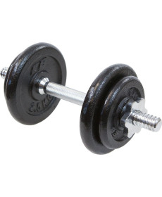 Гантель розбірна чавунна Eb Fit 10 кг