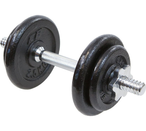 Гантель розбірна чавунна Eb Fit 10 кг