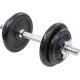 Гантель розбірна чавунна Eb Fit 10 кг