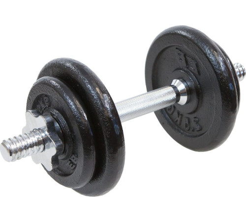 Гантель розбірна чавунна Eb Fit 10 кг