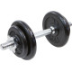 Гантель розбірна чавунна Eb Fit 10 кг