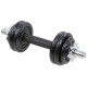Гантель розбірна чавунна Eb Fit 7 кг