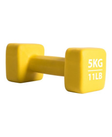 Гантель P2I Dumbell 5 КГ