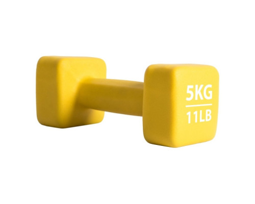 Гантель P2I Dumbell 5 КГ