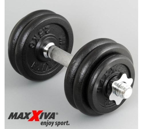 Гантелі розбірні чавунні Maxxiva D83766 2 x 15 кг