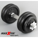 Гантелі розбірні чавунні Maxxiva D83766 2 x 15 кг