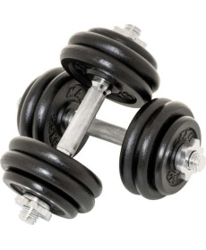 Гантелі розбірні чавунні Maxxiva D83766 2 x 15 кг