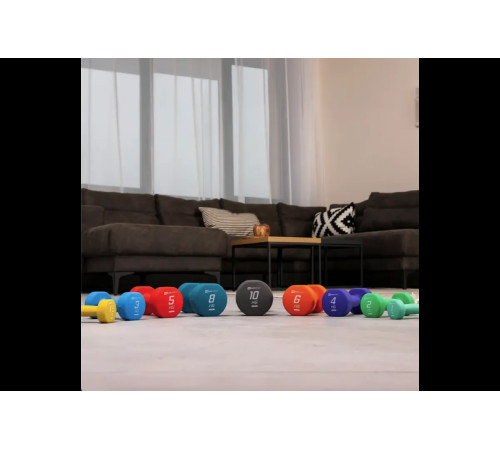 Гантелі неопренові Hop-Sport HS-V100DR 2 x 10 кг сірий