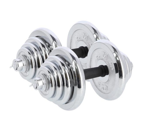 Гантелі розбірні в кейсі HMS STC55, 55 кг