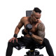 Гантель шестиранна inSPORTline Hexclusive 30 кг